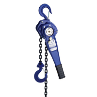 Lever Hoist with 3' Chain, 3' Lift, 500 lbs. (0.25 tons) Capacity Mukwa Safety Services