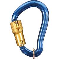Mousqueton Nano-Lok, Aluminium, Capacit&eacute; 3600 lb Mukwa Safety Services