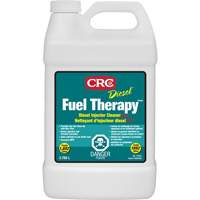 Nettoyant pour injecteur diesel Diesel Fuel Therapy Mukwa Safety Services