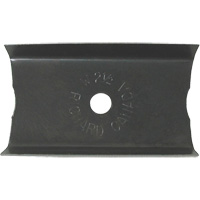 2-1/2" Paint Scraper Mukwa Safety Services
