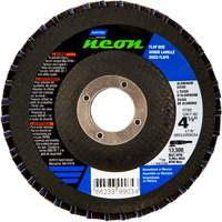 Flap Discs