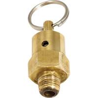 Viton&reg; Pressure Relief Valve Mukwa Safety Services