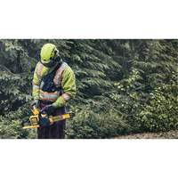 Scie &agrave; chaîne sans fil Flexvolt, 16", &agrave; pile, 60 V Mukwa Safety Services