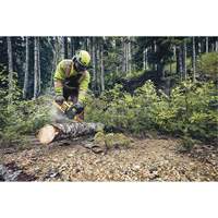 Scie &agrave; chaîne sans fil Flexvolt, 16", &agrave; pile, 60 V Mukwa Safety Services