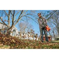Souffleur/aspirateur/broyeur de feuilles 3-en-1 VacPack, Vitesse d'air 250 mi/h, &eacute;lectrique Mukwa Safety Services
