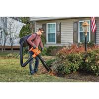 Souffleur/aspirateur/broyeur de feuilles 3-en-1 VacPack, Vitesse d'air 250 mi/h, &eacute;lectrique Mukwa Safety Services