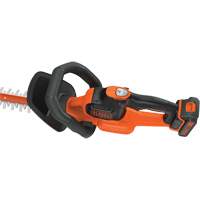 Ensemble de taille-haie sans fil Max* PowerCut, 22", 20 V, &agrave; pile Mukwa Safety Services