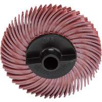 Disque &agrave; soies radiales, RB- ZB Scotch-Brite, C&eacute;ramique, Grain 220, 2" dia. Mukwa Safety Services