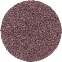 Meule en toile PSA 348D, 20" dia., Grain 60, Oxyde d'aluminium Mukwa Safety Services