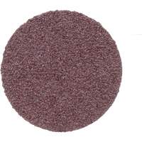 Disque de conditionnement de surface, 1" dia., Grain P100, Oxyde d'aluminium Mukwa Safety Services