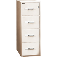 Fire Resistant Filing Cabinets, Steel, 4 Drawers, 19-3/4" W x 31" D x 54" H, Beige Mukwa Safety Services