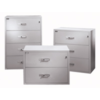 Fire Resistant Filing Cabinets, Steel, 4 Drawers, 38-3/4" W x 23-1/2" D x 55" H, Black Mukwa Safety Services