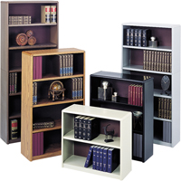 Value Mate&reg; Steel Bookcase Mukwa Safety Services