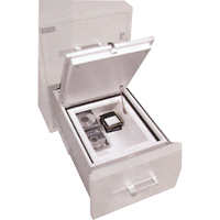 Data Protection Media Safes Mukwa Safety Services