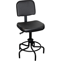 6000 Series Stool with Back, Stationary, Adjustable Height, 250 lbs. Capacity Mukwa Safety Services