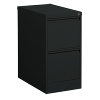 Classeur vertical, Acier, 2 tiroirs, 15-1/7" la x 25" p x 29" h, Noir Mukwa Safety Services
