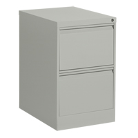 Classeur vertical, Acier, 2 tiroirs, 18-1/7" la x 25" p x 29" h, Gris Mukwa Safety Services
