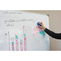 Whiteboard Eraser Mukwa Safety Services