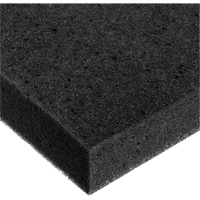 Feuille de mousse, Standard, &eacute;paisseur 2", 108" lo x 24" la Mukwa Safety Services