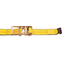 Ratchet Straps, Flat Hook, 4" W x 30' L, 5400 lbs. (2450 kg) Working Load Limit Mukwa Safety Services