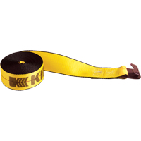Winch Straps, Flat Hook, 3" W x 30' L, 5400 lbs. (2450 kg) Working Load Limit Mukwa Safety Services