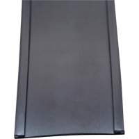 Porte-&eacute;tiquette, Magn&eacute;tique, 600" lo x 2" la Mukwa Safety Services