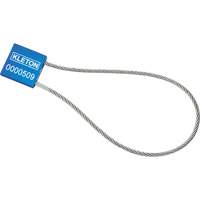 Scell&eacute;s de haute s&eacute;curit&eacute;, 12", M&eacute;tal, Scell&eacute; &agrave; c&acirc;ble Mukwa Safety Services