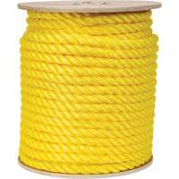 Corde jaune tress&eacute;e, Polypropyl&egrave;ne, 300' Mukwa Safety Services