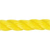 Corde jaune tress&eacute;e, Polypropyl&egrave;ne, 144' Mukwa Safety Services