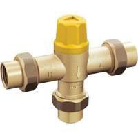 Adjustable Temperature Thermostatic Mixing Valve Mukwa Safety Services