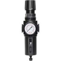 Manual Drain Filter/Regulator with Standard Bowl Modulair 300, 1/4" NPT, 150 PSI, 5.1 fl. oz. Capacity Mukwa Safety Services