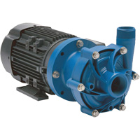 Magnetic Drive Pump with Carbon Bushing Mukwa Safety Services