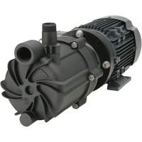 Self-Priming Magnetic Drive Pump with Carbon Bushing Mukwa Safety Services