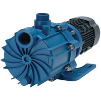 Self-Priming Magnetic Drive Pump with Carbon Bushing Mukwa Safety Services