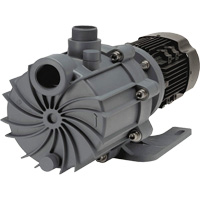 Self-Priming Magnetic Drive Pump with Carbon Bushing Mukwa Safety Services