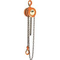Chain Hoist, 10' Lift, 1000 lbs. (0.5 tons) Capacity, Steel Chain Mukwa Safety Services