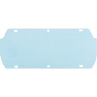 Visi&egrave;re Facetec en polycarbonate, Polycarbonate, Teinte Transparent Mukwa Safety Services