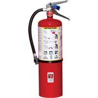 Fire Extinguisher, ABC, 10 lbs. Capacity Mukwa Safety Services