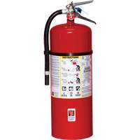 Fire Extinguisher, ABC, 20 lbs. Capacity Mukwa Safety Services