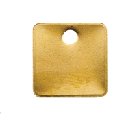 Blank Tags, Brass, 1.25" dia Mukwa Safety Services