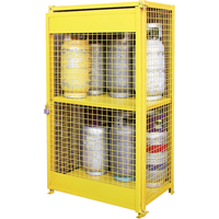 Gas Cylinder Cabinets, 12 Cylinder Capacity, 44" W x 30" D x 74" H, Yellow Mukwa Safety Services