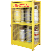 Gas Cylinder Cabinets, 12 Cylinder Capacity, 44" W x 30" D x 74" H, Yellow Mukwa Safety Services
