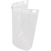 Faceshield Visors