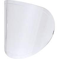 Lentilles de rechange Mukwa Safety Services