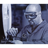 Uvex&reg; Flex Seal Safety Goggles, 3.0 Lens, Anti-Fog, Indirect Vent Mukwa Safety Services