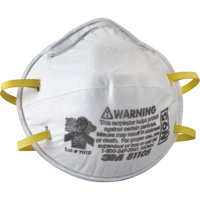 8110S Particulate Respirators, N95, NIOSH Certified, Small Mukwa Safety Services