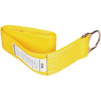 Anchorage Connector Straps, D-Ring, Temporary Use Mukwa Safety Services
