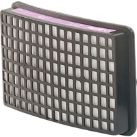 Speedglas Respiratory Protection-replacement Filters & Cartridges, P100 Filter, Pack of 2 Mukwa Safety Services