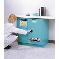 Armoires de s&eacute;curit&eacute; pour acides & produits corrosifs avec doublure ChemCor, 22 gal., 35" x 35" x 22" Mukwa Safety Services