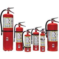 Extincteur d'incendie, ABC, Capacit&eacute; 30 lb Mukwa Safety Services